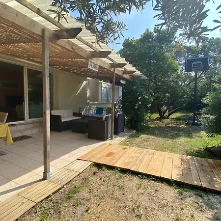 Des Ortolans Au Cap Ferret *